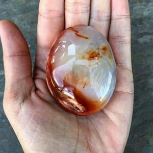 Carnelian palm